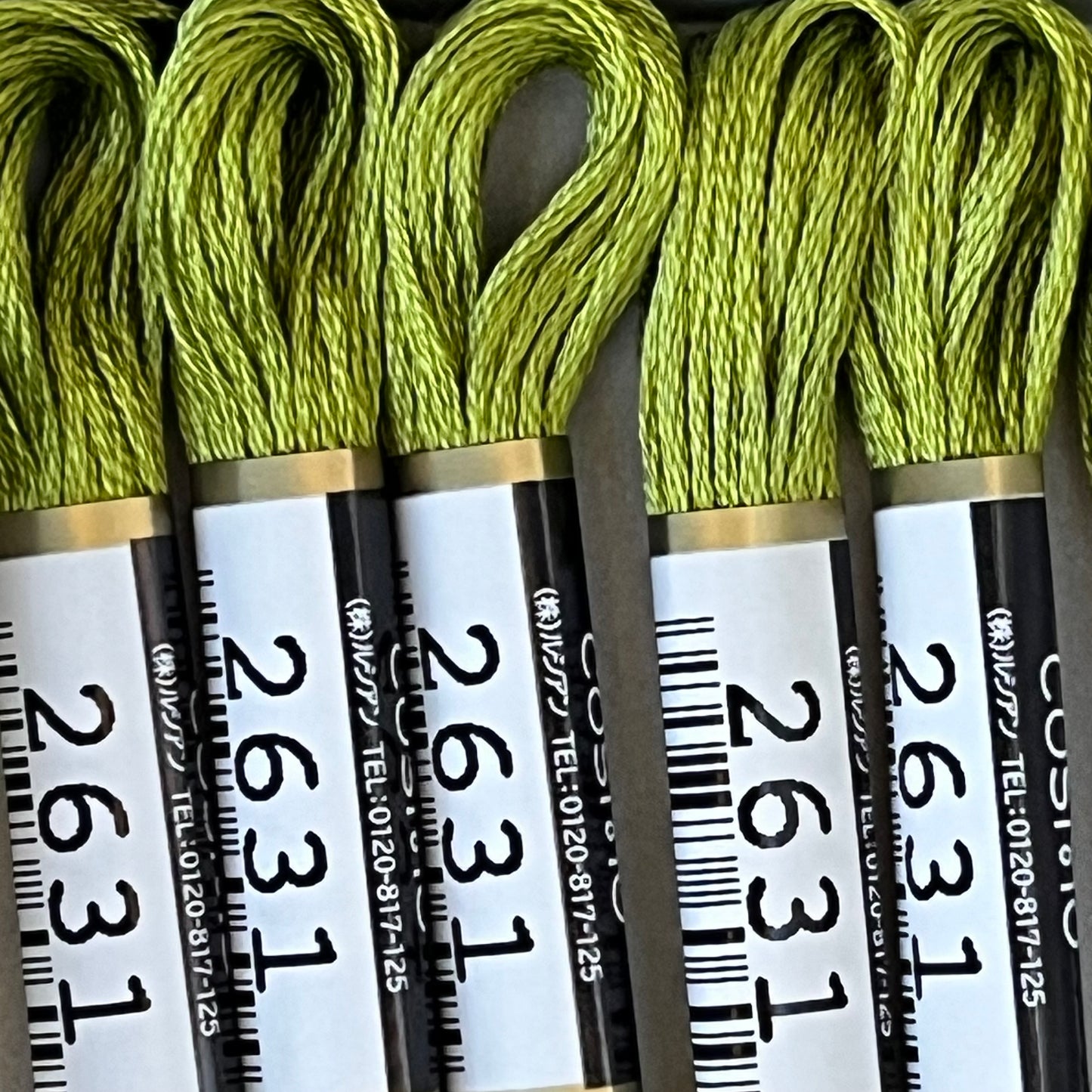 Cosmo 6-strand Floss, 2631