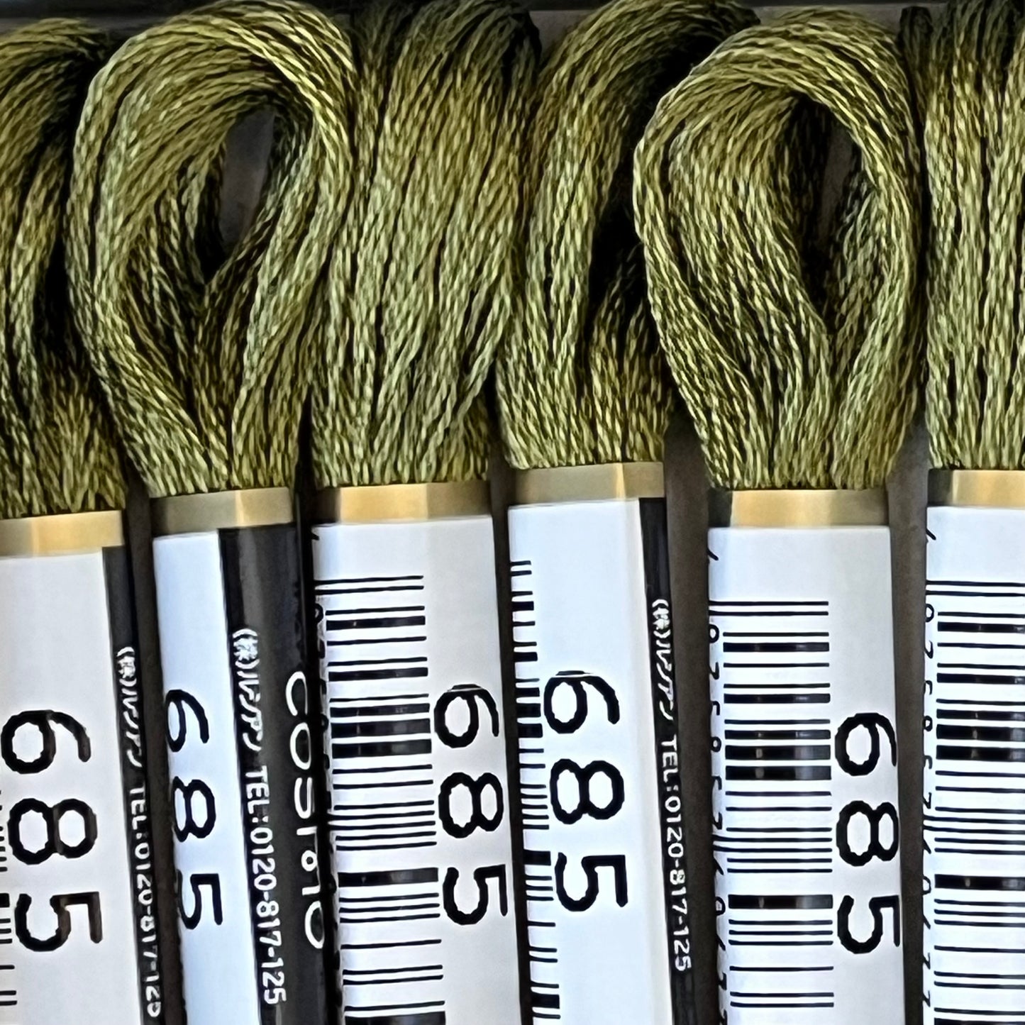 Cosmo 6-strand Floss, 685