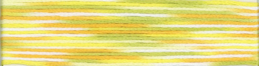 Cosmo Seasons Variegated 6 - strand Floss 9000 Series - Lucky Jonquil - Thread & Floss