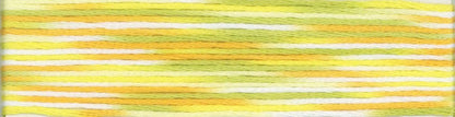 Cosmo Seasons Variegated 6 - strand Floss 9000 Series - Lucky Jonquil - Thread & Floss