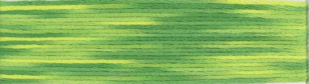 Cosmo Seasons Variegated 6 - strand Floss 9000 Series - Lucky Jonquil - Thread & Floss