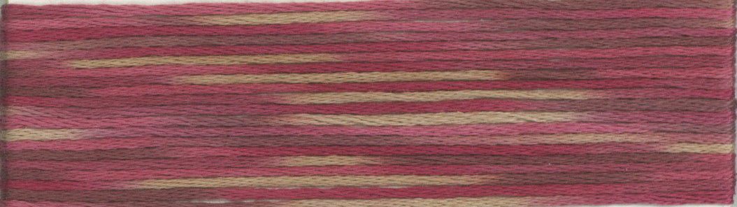 Cosmo Seasons Variegated 6 - strand Floss 9000 Series - Lucky Jonquil - Thread & Floss