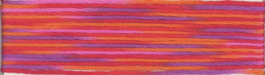 Cosmo Seasons Variegated 6 - strand Floss 9000 Series - Lucky Jonquil - Thread & Floss