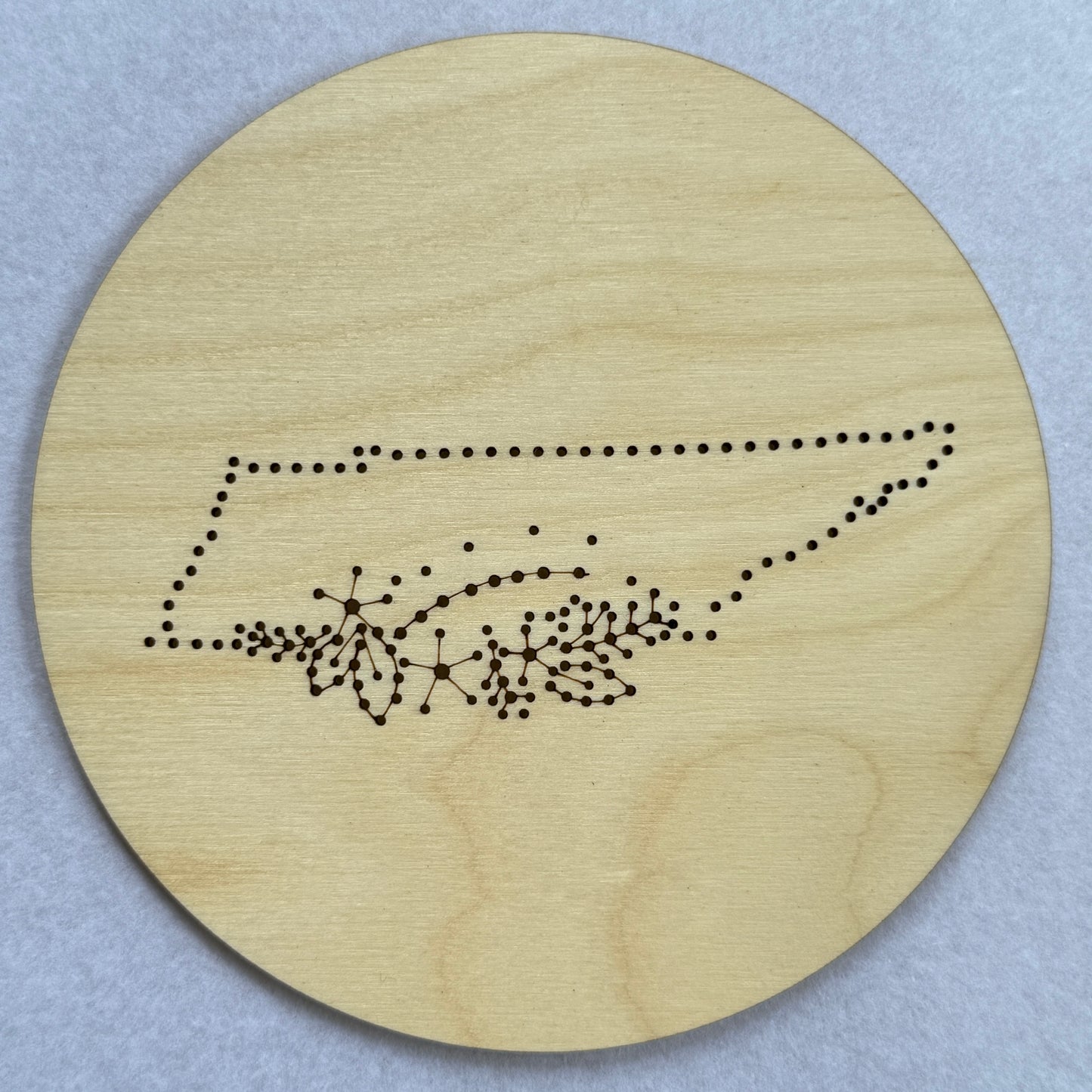 US States Embroidery Stitch Disk Kit