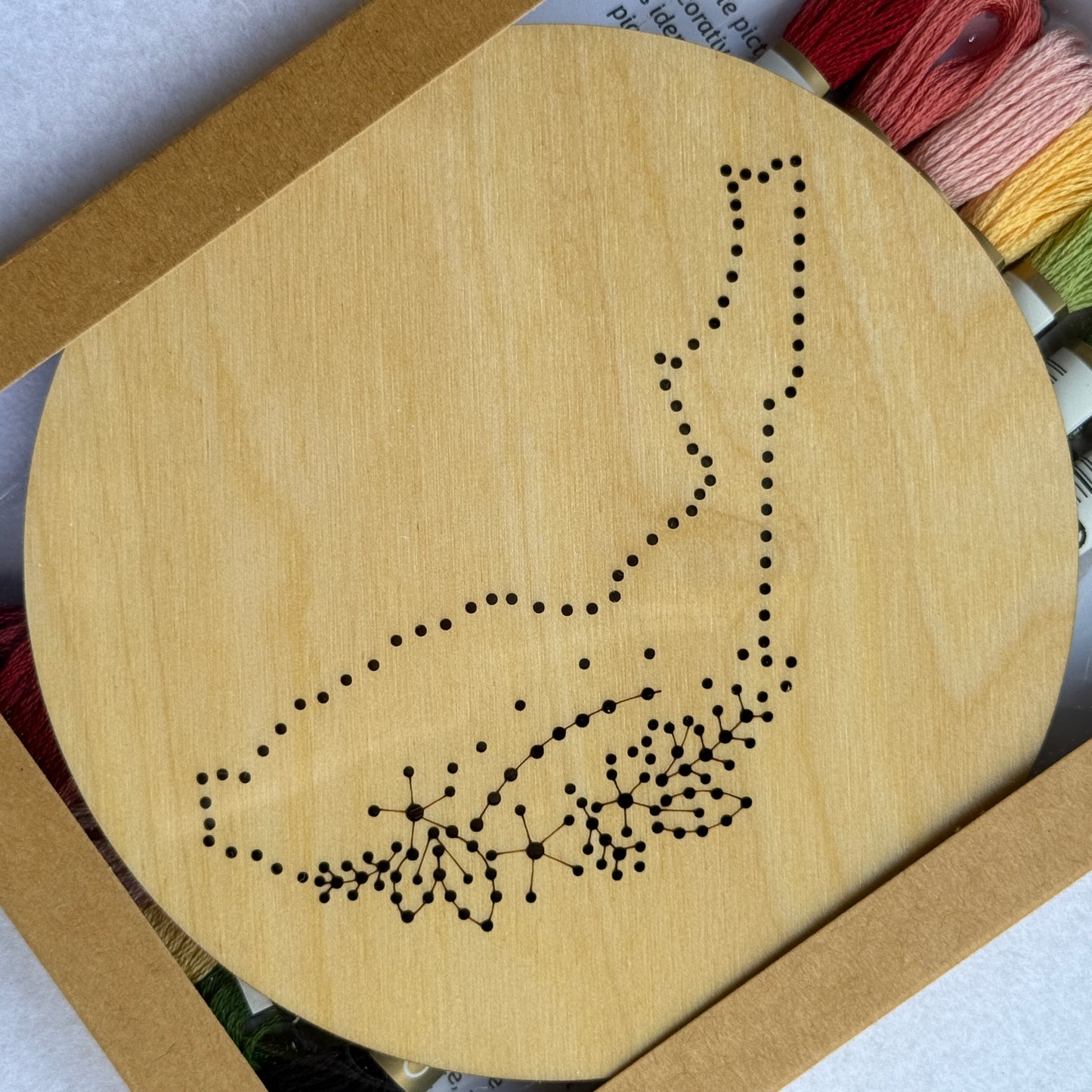 US States Embroidery Stitch Disk Kit