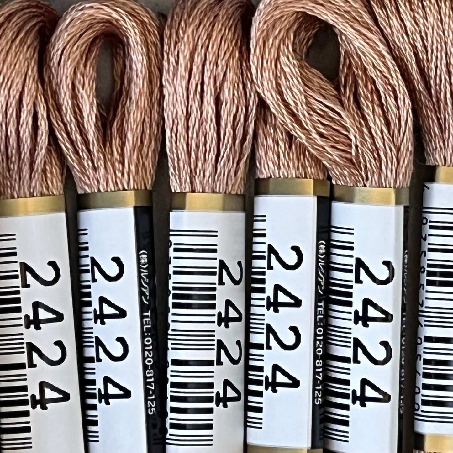 Cosmo 6-strand Floss, 2424