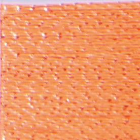 Cosmo nishikiito - Neoni