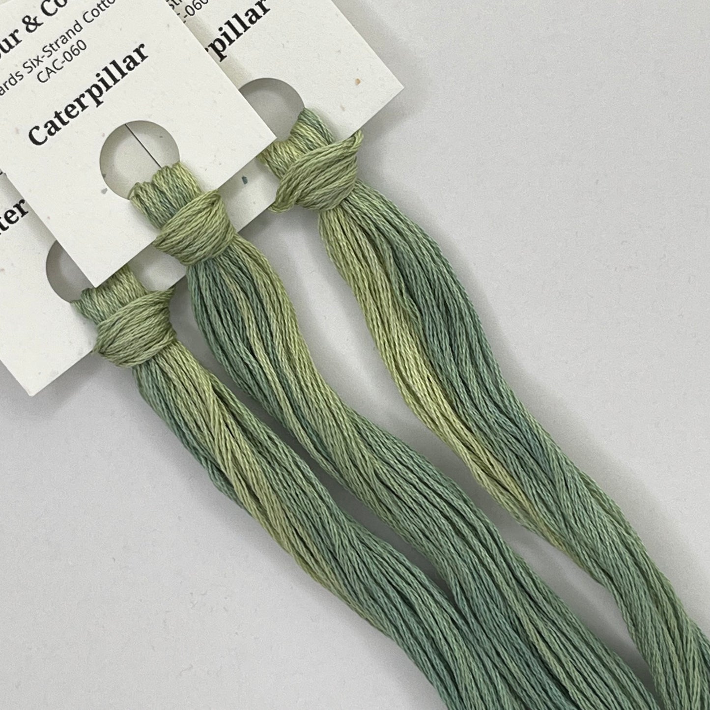 Colour and Cotton Hand Dyed Thread - Caterpillar