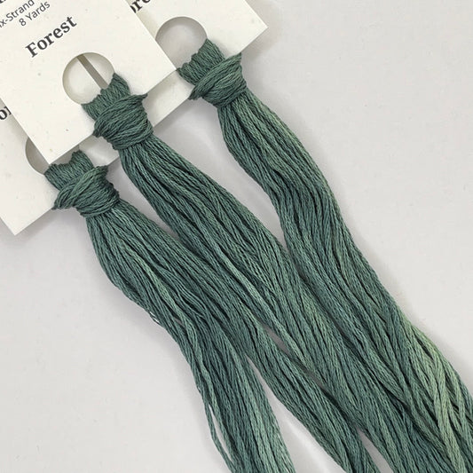 Colour and Cotton Hand Dyed Thread - Forest